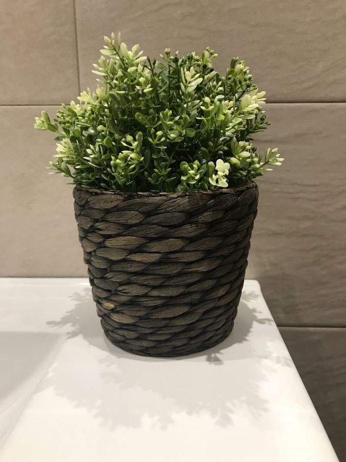 Apartamentos Alameda ロンダ エクステリア 写真